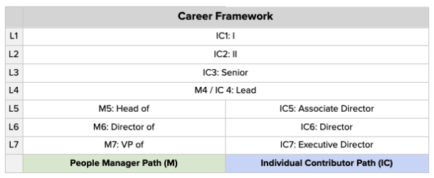 level and step career framework