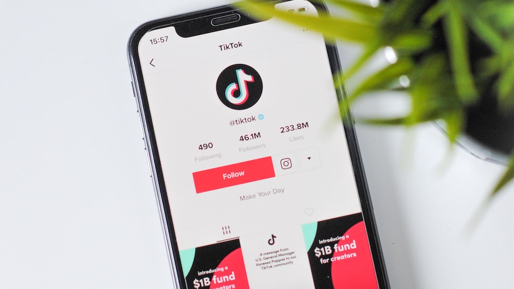 Year on TikTok 2023: Scroll back with our community