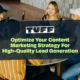 Blog title overlay 'Optimize Your Content Marketing Strategy For High-Quality Lead Generation' with a team collaboration scene in the background